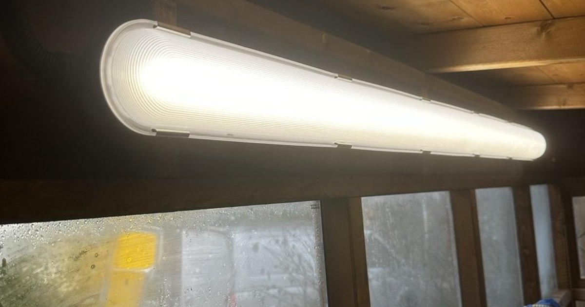 Garage workshop electrics — sub-board, sockets, lighting, EV charger — Bruton